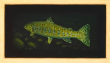 Brown Trout IV
