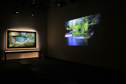 Installation view of a tunnel video as creek flows under Buffalo